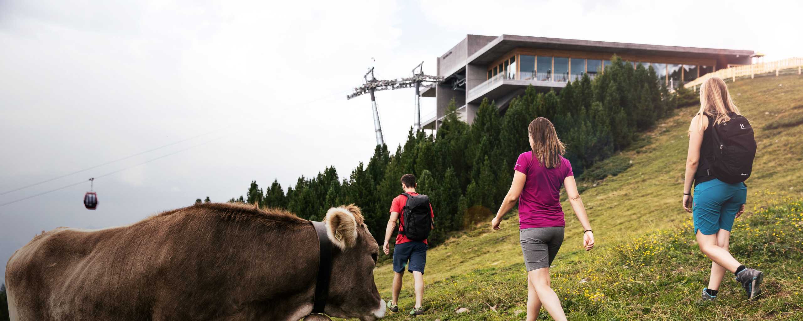 Children's Hiking Trails